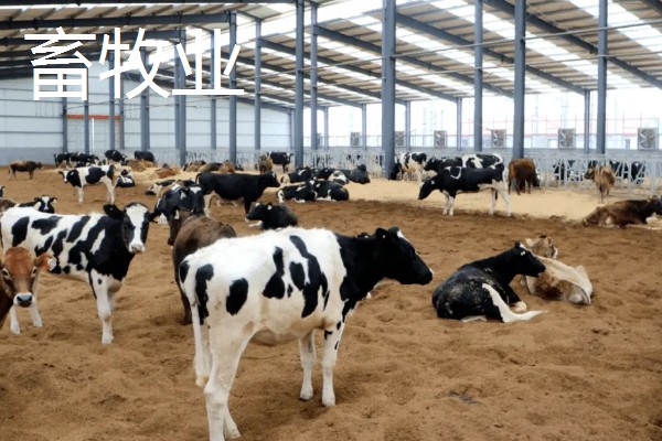 农业有什么地位，属于第一产业是国民经济的基础