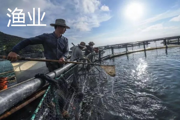 农业有什么地位，属于第一产业是国民经济的基础