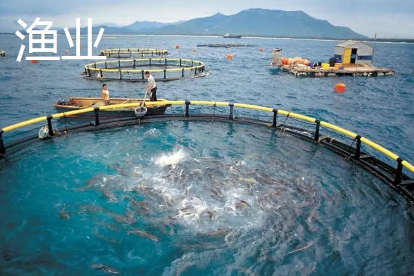 农业有什么地位，属于第一产业是国民经济的基础