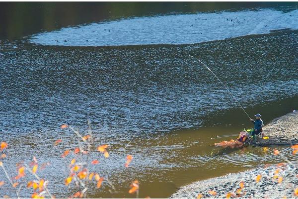 春季怎么钓草鱼，抛竿后晃动鱼竿可吸引草鱼