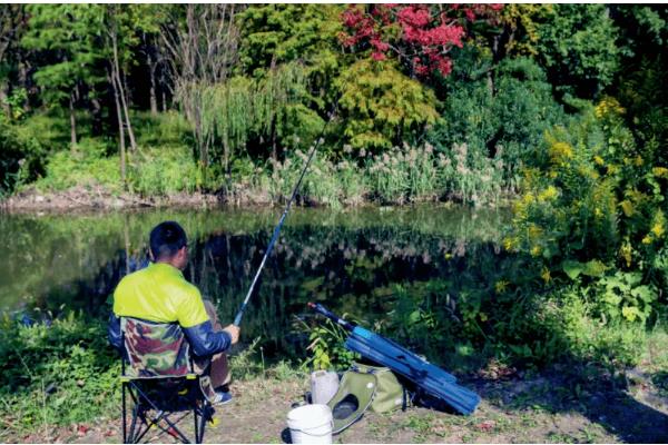 春季怎么钓草鱼，抛竿后晃动鱼竿可吸引草鱼