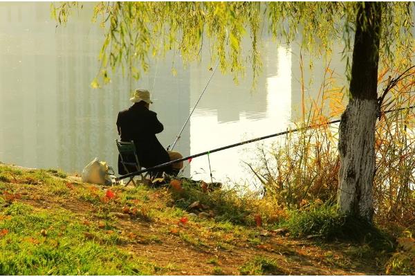 春季怎么钓草鱼，抛竿后晃动鱼竿可吸引草鱼