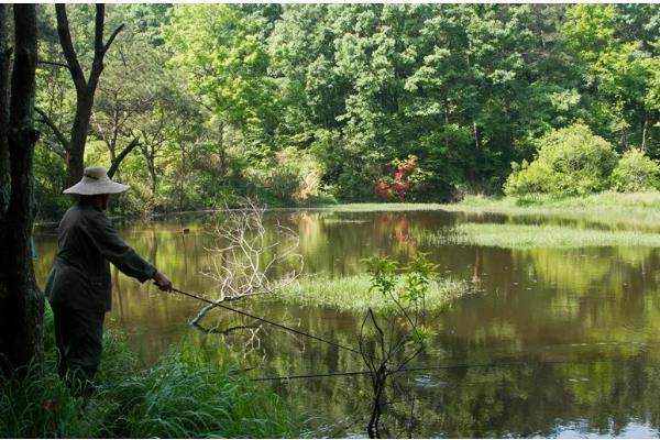春季怎么钓草鱼，抛竿后晃动鱼竿可吸引草鱼