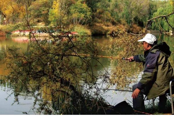 春季怎么钓草鱼，抛竿后晃动鱼竿可吸引草鱼