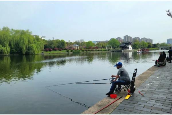 春季怎么钓草鱼，抛竿后晃动鱼竿可吸引草鱼