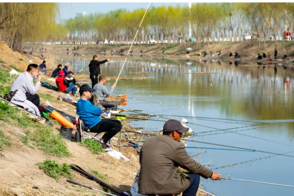 春季怎么钓草鱼，抛竿后晃动鱼竿可吸引草鱼