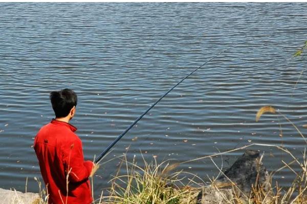 春季怎么钓草鱼，抛竿后晃动鱼竿可吸引草鱼