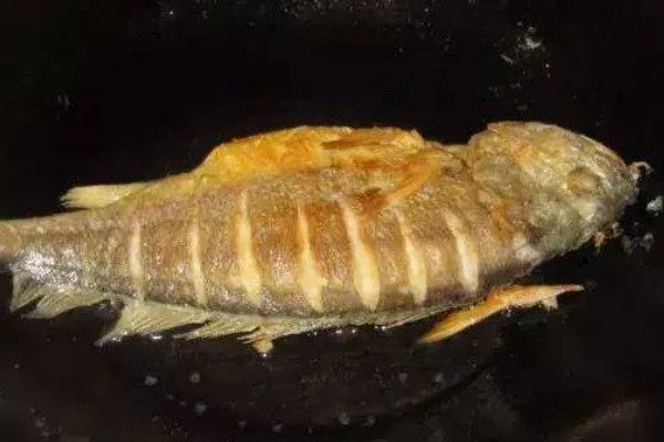 晒干的剥皮鱼怎么烹制，以下4种方式可自行选择