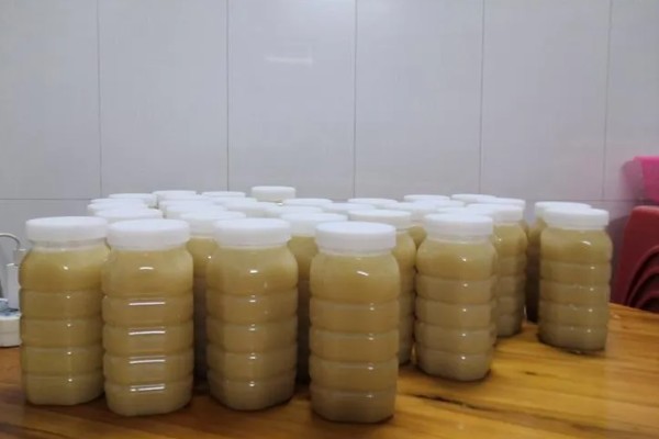鸭脚木蜜是哪种蜜，是采集鸭脚木花蜜酿制而成的