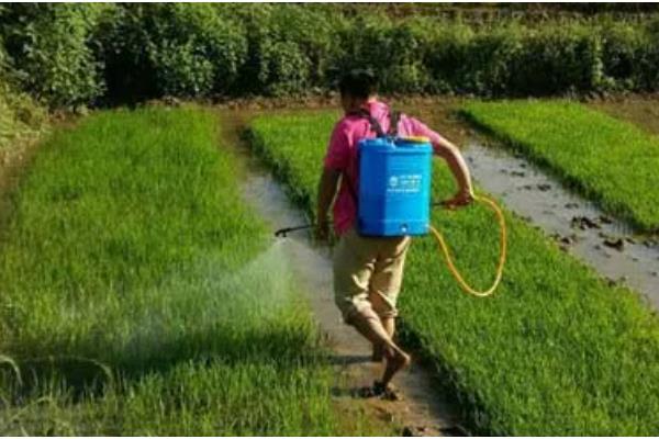 噻霉酮的防治对象，可防治水稻纹枯病、小麦白粉病等病害