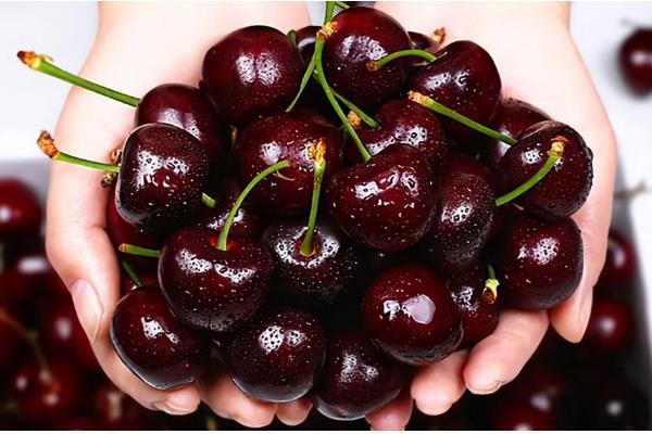 心形车厘子的品种介绍，常见的有黑珍珠、拉宾斯等