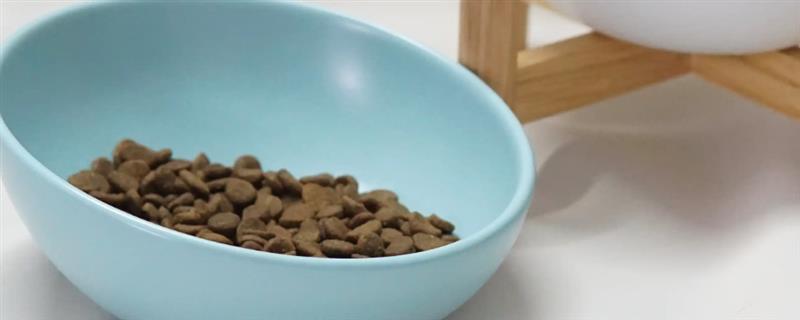能不能使用塑料材质的猫食盘,长期使用容易导致猫咪黑下巴