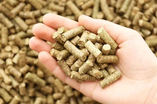 有哪些新型饲料添加剂，常见的有泰乐菌素、黄霉素等