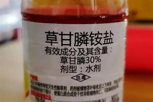什么除草剂可以打死瓜蒌，通常用草甘膦