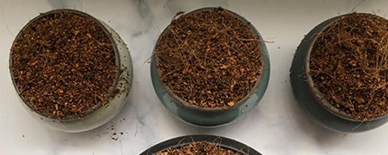给蝴蝶兰配土的方法，可向土壤中添加木屑、树皮、花生壳等材料