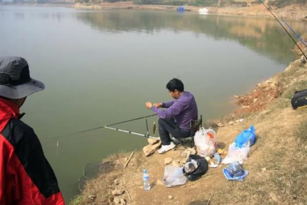 初夏适合在什么位置钓鱼，水草区、铧尖、河汊口等地方是不错的选择