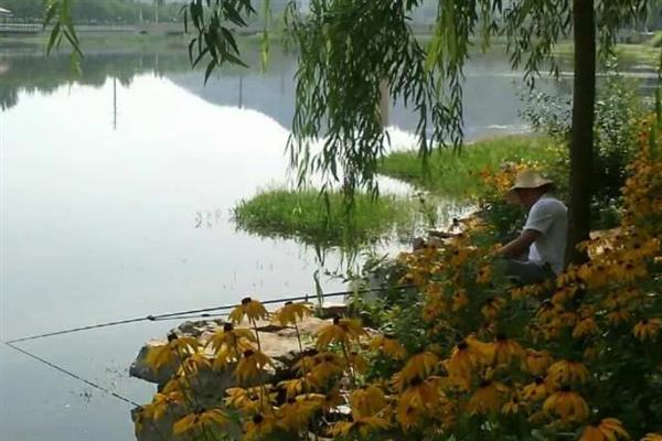 初夏适合在什么位置钓鱼，水草区、铧尖、河汊口等地方是不错的选择