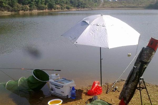 初夏适合在什么位置钓鱼，水草区、铧尖、河汊口等地方是不错的选择