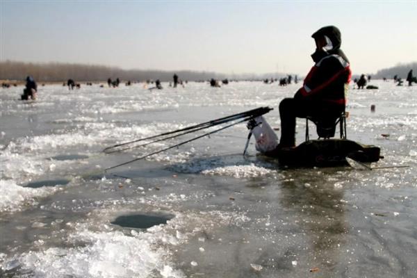 初夏适合在什么位置钓鱼，水草区、铧尖、河汊口等地方是不错的选择