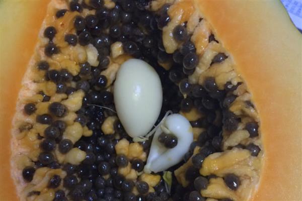 木瓜里面的白色是什么东西，是还未成型的小木瓜