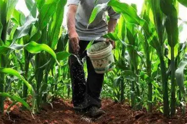 什么是生物有机肥，是经无害化处理、腐熟的肥料