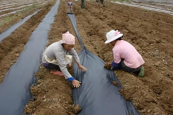 怎么修复农膜，主要采取热补法、水补法等方式