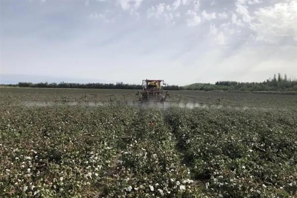 10ml双甲脒要兑多少水，针对不同动物的兑水量不同