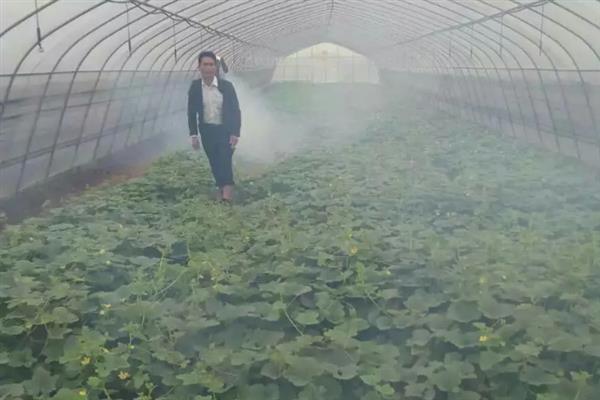 10ml双甲脒要兑多少水，针对不同动物的兑水量不同