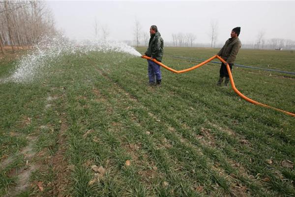 小麦返青需要什么温度，日均温度回升至2-3℃时开始返青