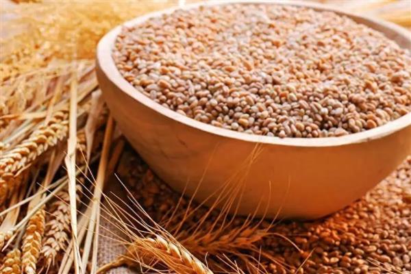小麦种子含有多少水分，国标规定是12.5%