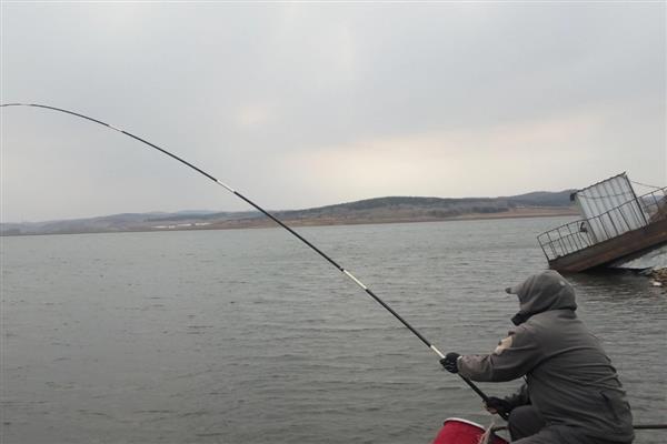 1月份适合钓什么鱼，鲫鱼、鲤鱼、鳊鱼等品种均可钓获