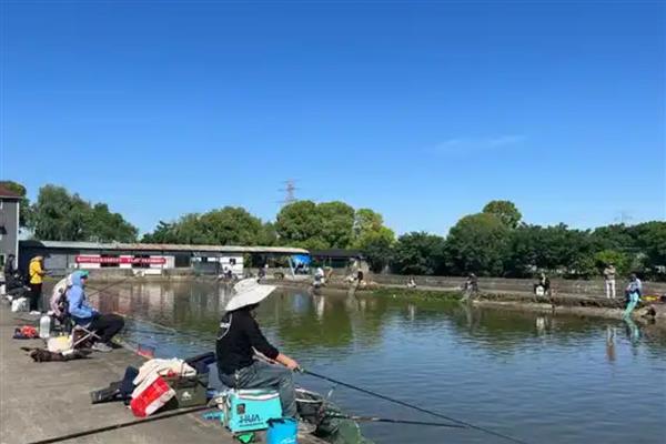 1月份适合钓什么鱼，鲫鱼、鲤鱼、鳊鱼等品种均可钓获