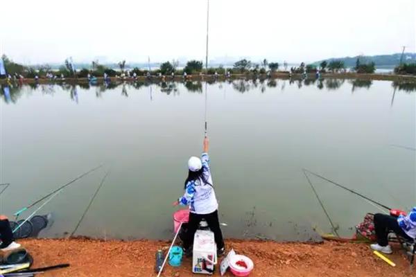 1月份适合钓什么鱼，鲫鱼、鲤鱼、鳊鱼等品种均可钓获