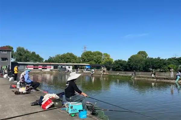 千又钩是否容易跑鱼，钩型设计使鱼儿难以逃脱