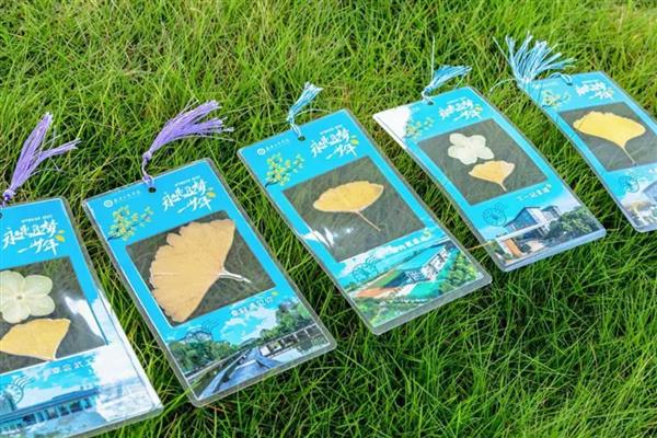 怎么制作植物标本，清理后放在草纸上并用夹板固定