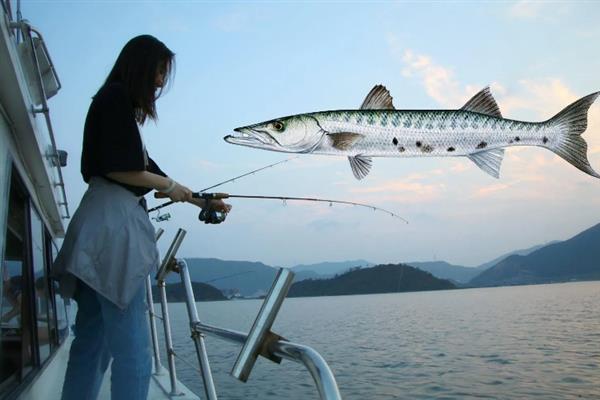 垂钓梭鱼的技巧,在回流位置或深浅水交界处作钓