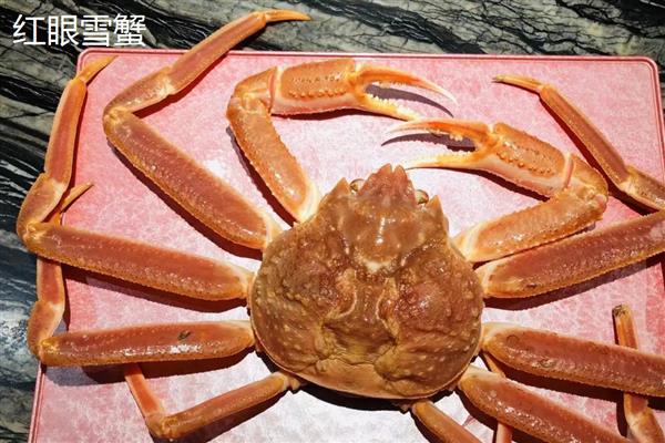 雪蟹有什么品种，以灰眼雪蟹、红眼雪蟹等品种为主