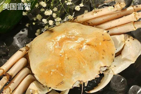 雪蟹有什么品种，以灰眼雪蟹、红眼雪蟹等品种为主