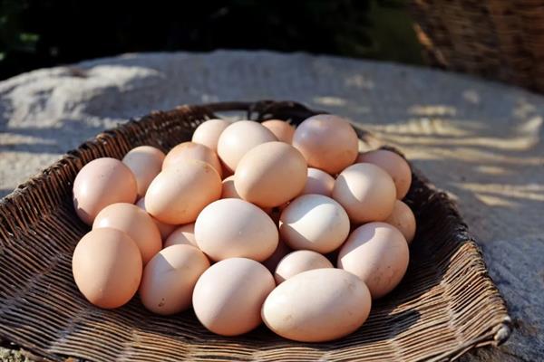 土鸡蛋和普通鸡蛋有什么区别，前者壳厚且硬、后者壳薄且脆