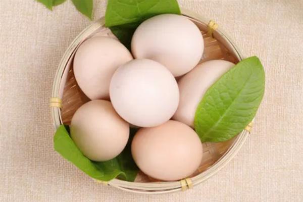 土鸡蛋和普通鸡蛋有什么区别，前者壳厚且硬、后者壳薄且脆