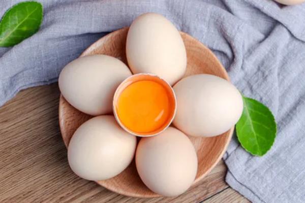 土鸡蛋和普通鸡蛋有什么区别，前者壳厚且硬、后者壳薄且脆
