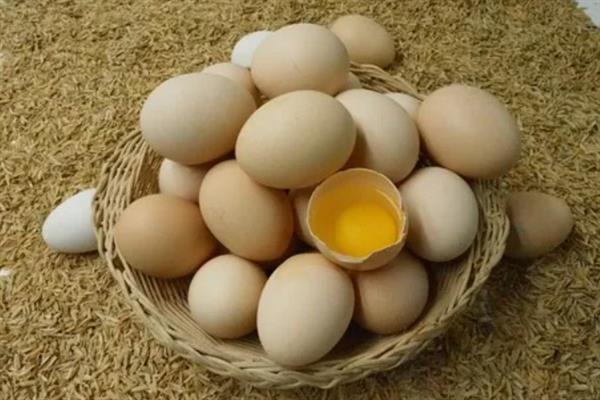 土鸡蛋和普通鸡蛋有什么区别，前者壳厚且硬、后者壳薄且脆