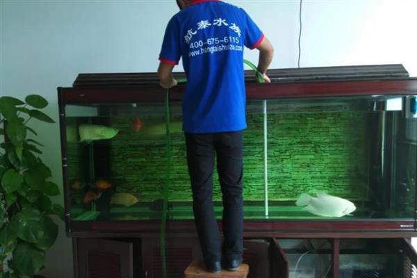 热带鱼腹水的治疗方法，用盐水浸泡有助于康复