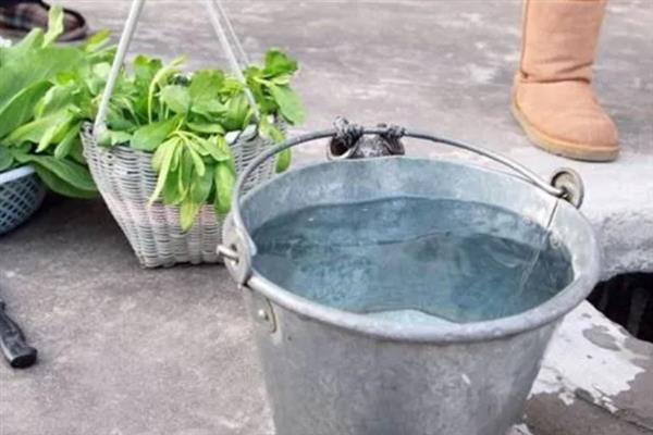热带鱼腹水的治疗方法，用盐水浸泡有助于康复