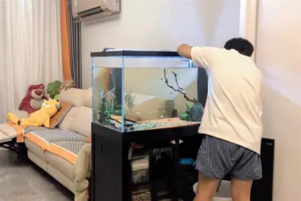 热带鱼腹水的治疗方法，用盐水浸泡有助于康复