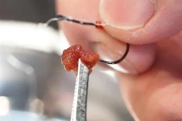 秋冬季节钓鲫鱼用什么饵料,选择腥味饵料更容易吸引鲫鱼