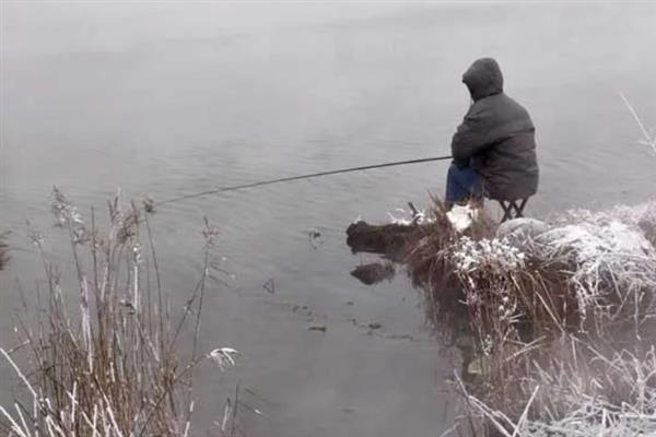 秋冬季节钓鲫鱼用什么饵料,选择腥味饵料更容易吸引鲫鱼