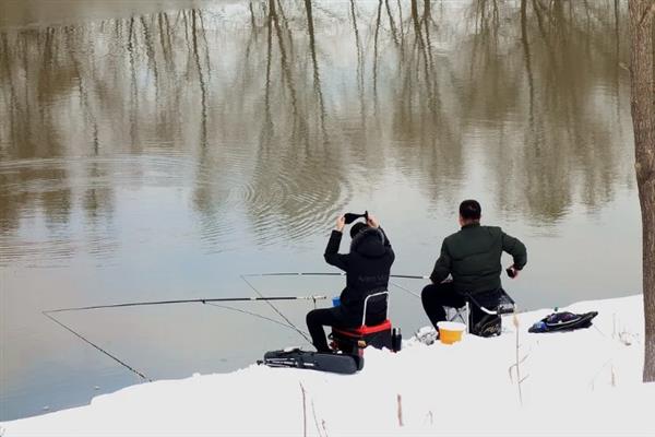 秋冬季节钓鲫鱼用什么饵料,选择腥味饵料更容易吸引鲫鱼