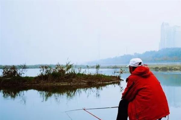 秋冬季节钓鲫鱼用什么饵料,选择腥味饵料更容易吸引鲫鱼