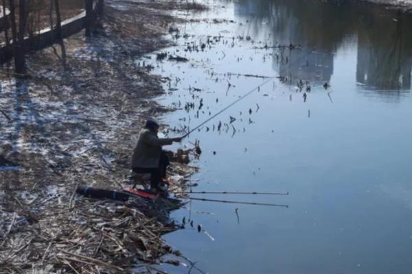 秋冬季节钓鲫鱼用什么饵料,选择腥味饵料更容易吸引鲫鱼